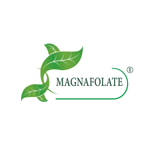 Какво представлява Magnafolate®? Фолиева киселина срещу фолиева киселина, каква е разликата?