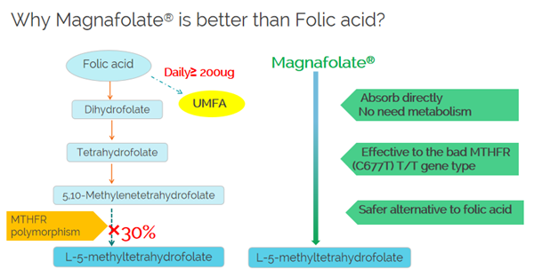 Защо Magnafolate е по-добър от фолиевата киселина?