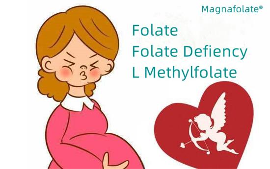 Фолат и фолатен дефицит