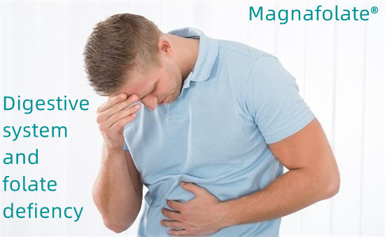 Храносмилателна система и дефицит на фолиева киселина - Magnafolate