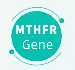 Какво означава, ако имате ген MTHFR?