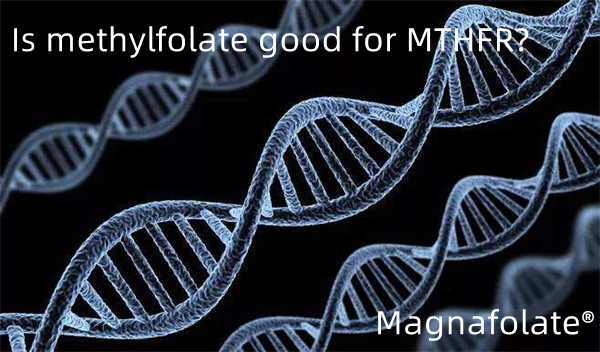 Метилфолатът добър ли е за MTHFR?