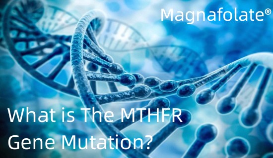Какво е MTHFR генна мутация?