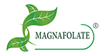 Magnafolate® VS фолиева киселина