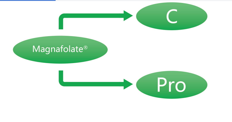 Магнафолат C и Pro—L-метилфолат калций