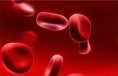 Защо дефицитът на фолат причинява проблеми с имунната система